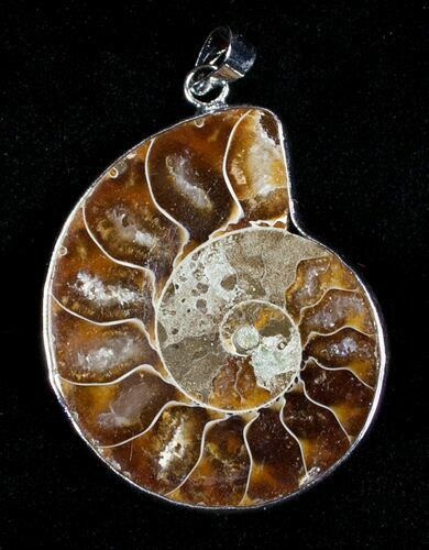 Polished Ammonite Pendant #3613